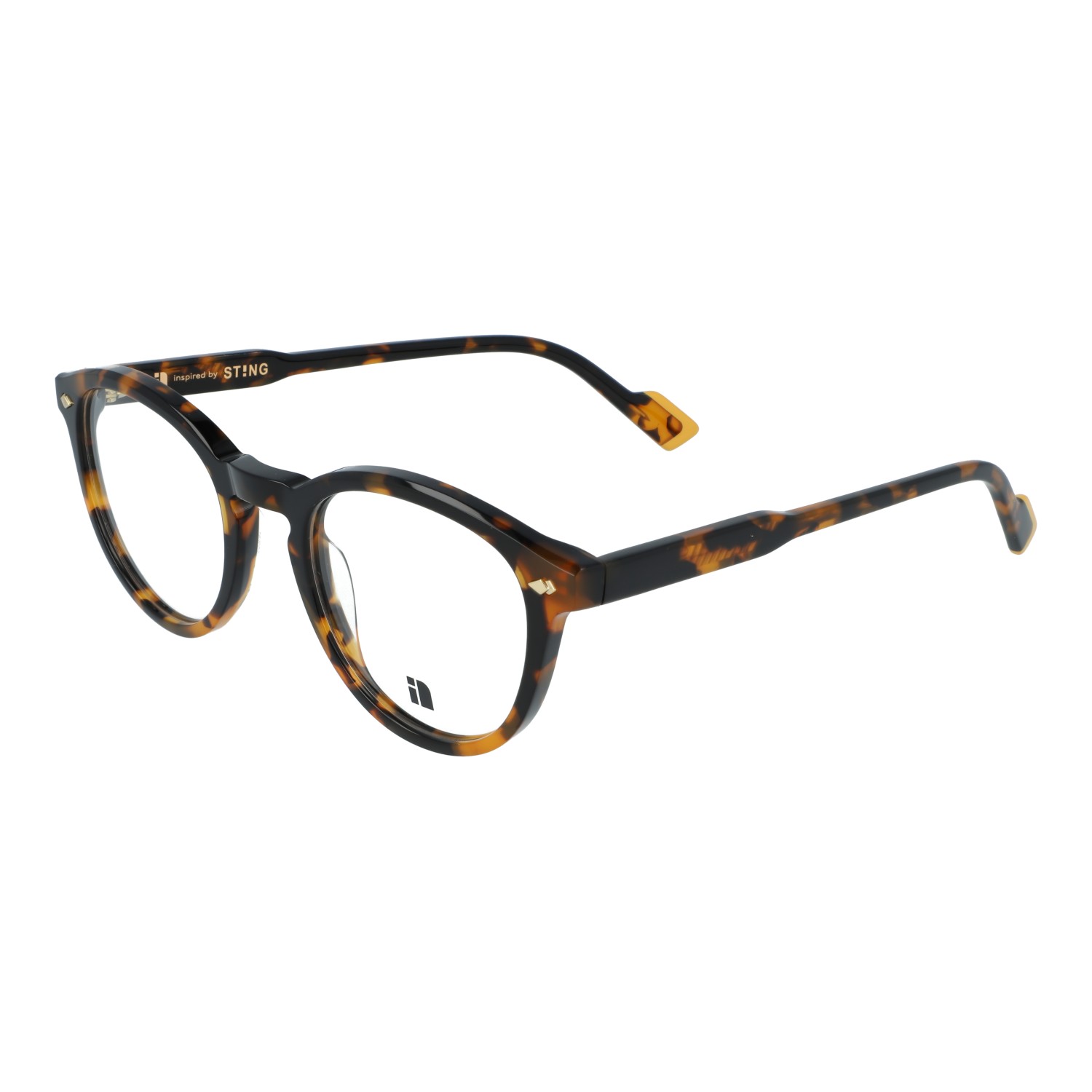 Gafas sting 2024 general optica